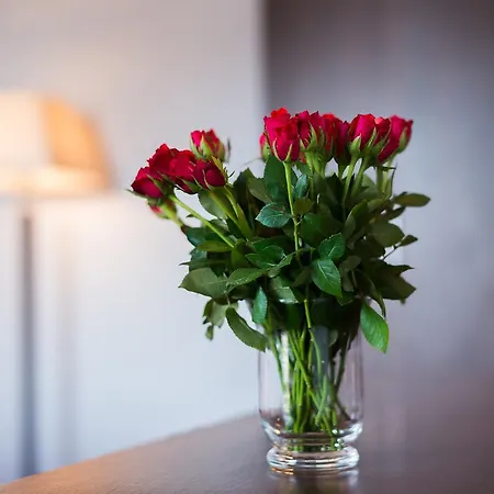 Hotel Jasek Premium Wroclaw